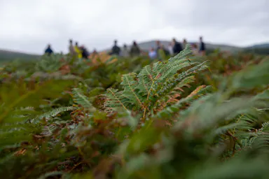 177_Commonland_Ireland_Sept24_highres.jpg