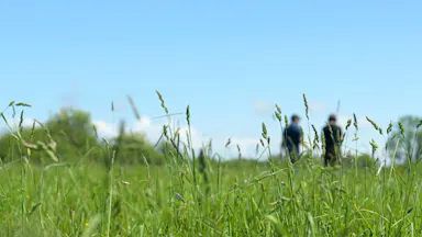 bwl_frame13- wgroecology perhpa.jpg