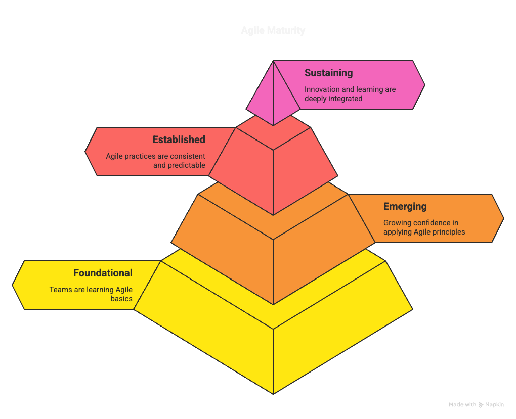 Understanding Agile Maturity_ A Journey of Continuous Improvement - visual selection.png
