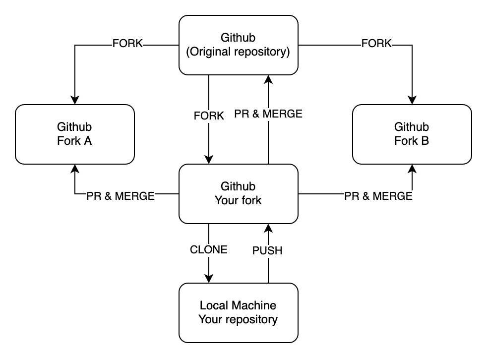 Working with multiple forks