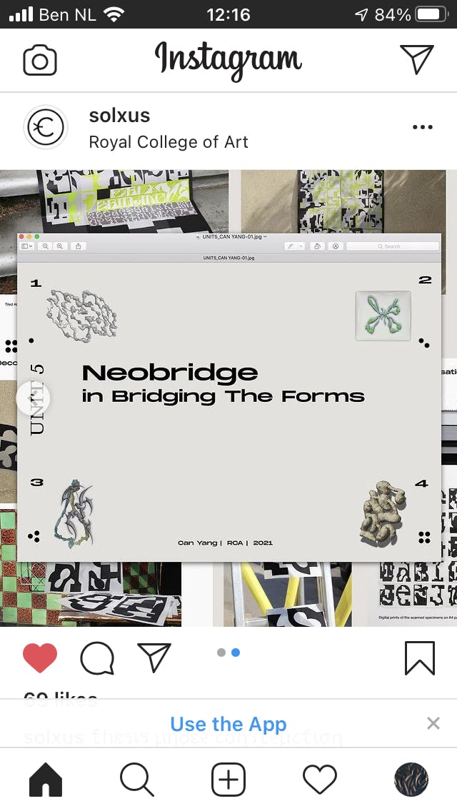 IMG_3890.PNG