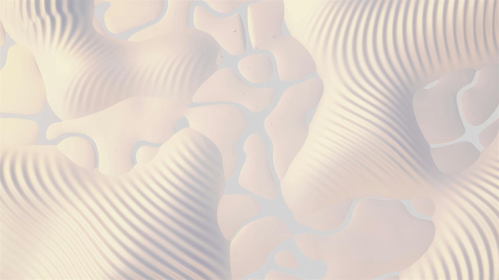 OWS Old Background.jpeg
