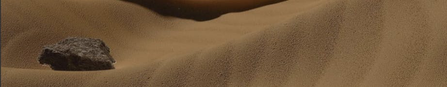 sandy.png
