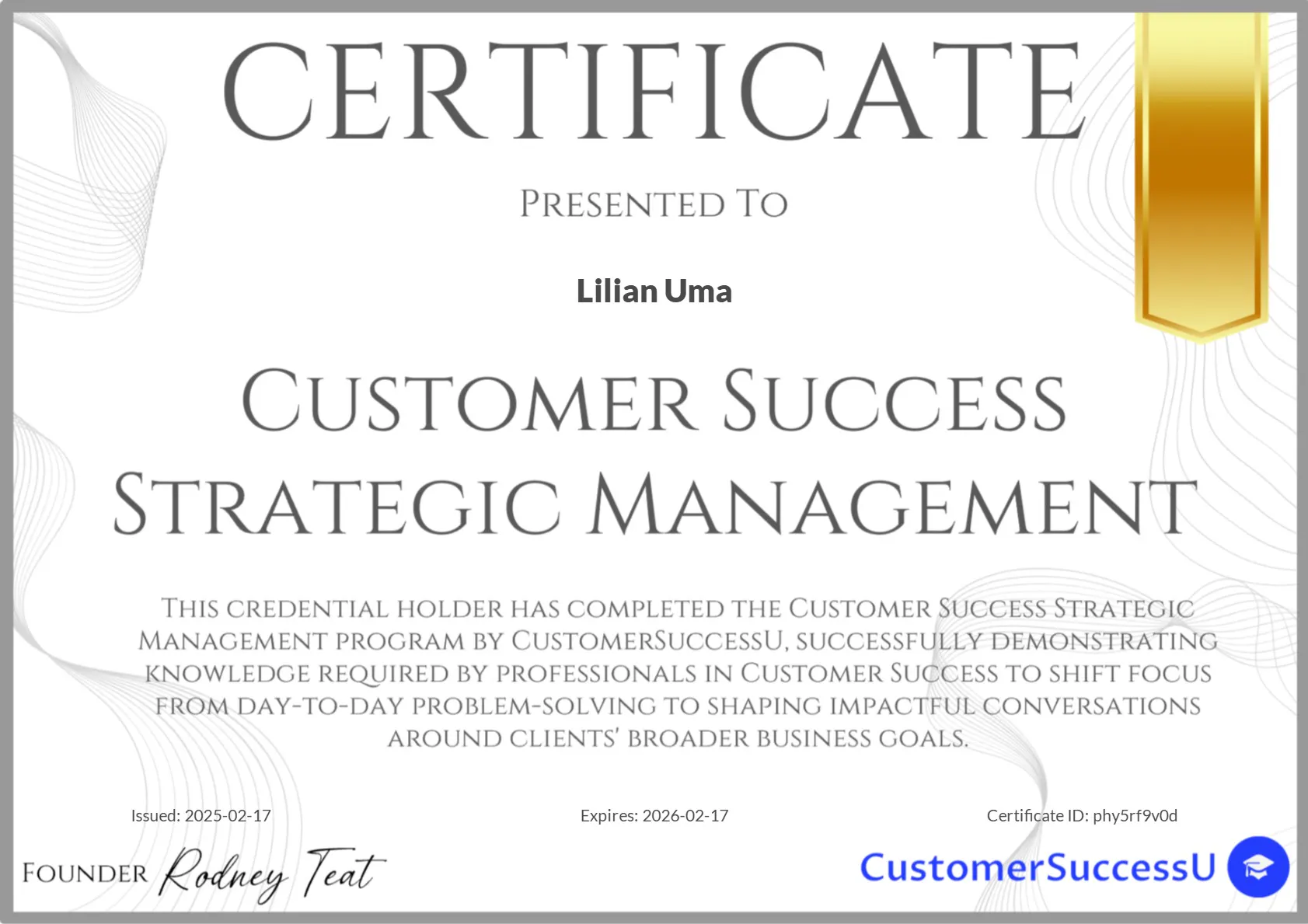 Customer Success Strategic.jpg
