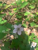 E1B79BEC-9977-446D-87BA-36E93B676352.jpeg