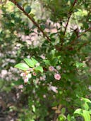 4F985D1B-3245-47D1-A644-9D2D7EA5CAA5.jpeg