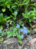 24D54132-BA73-4CB9-BA1B-873B6DF17B85.jpeg