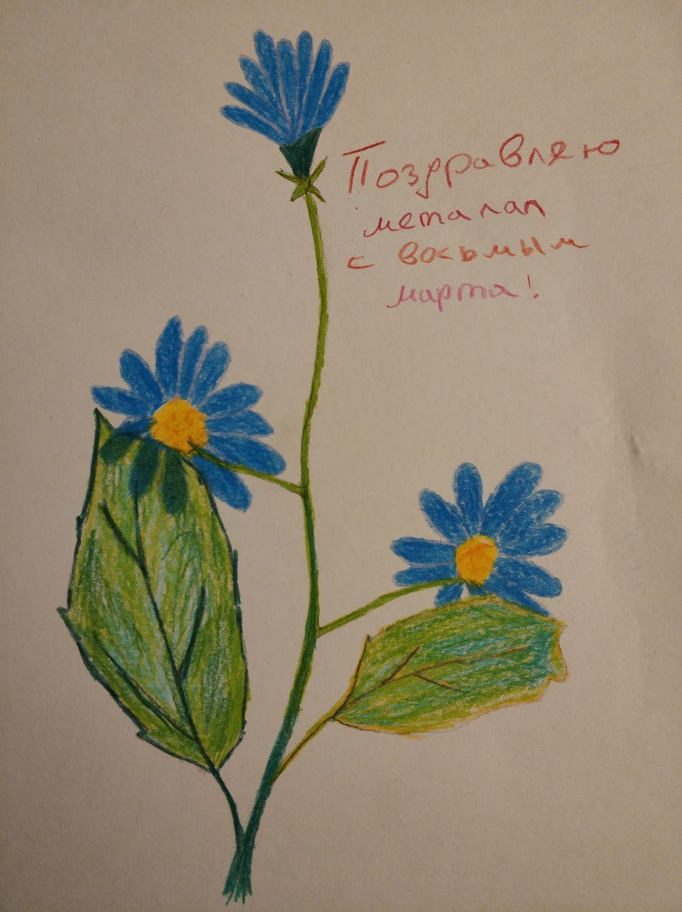 photo_2023-03-06 20.07.09.jpeg