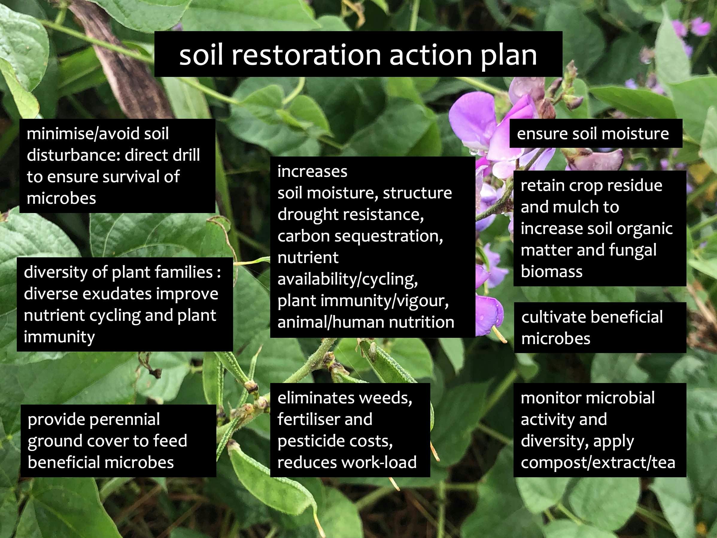 soil restoration action plan-400kb.jpg
