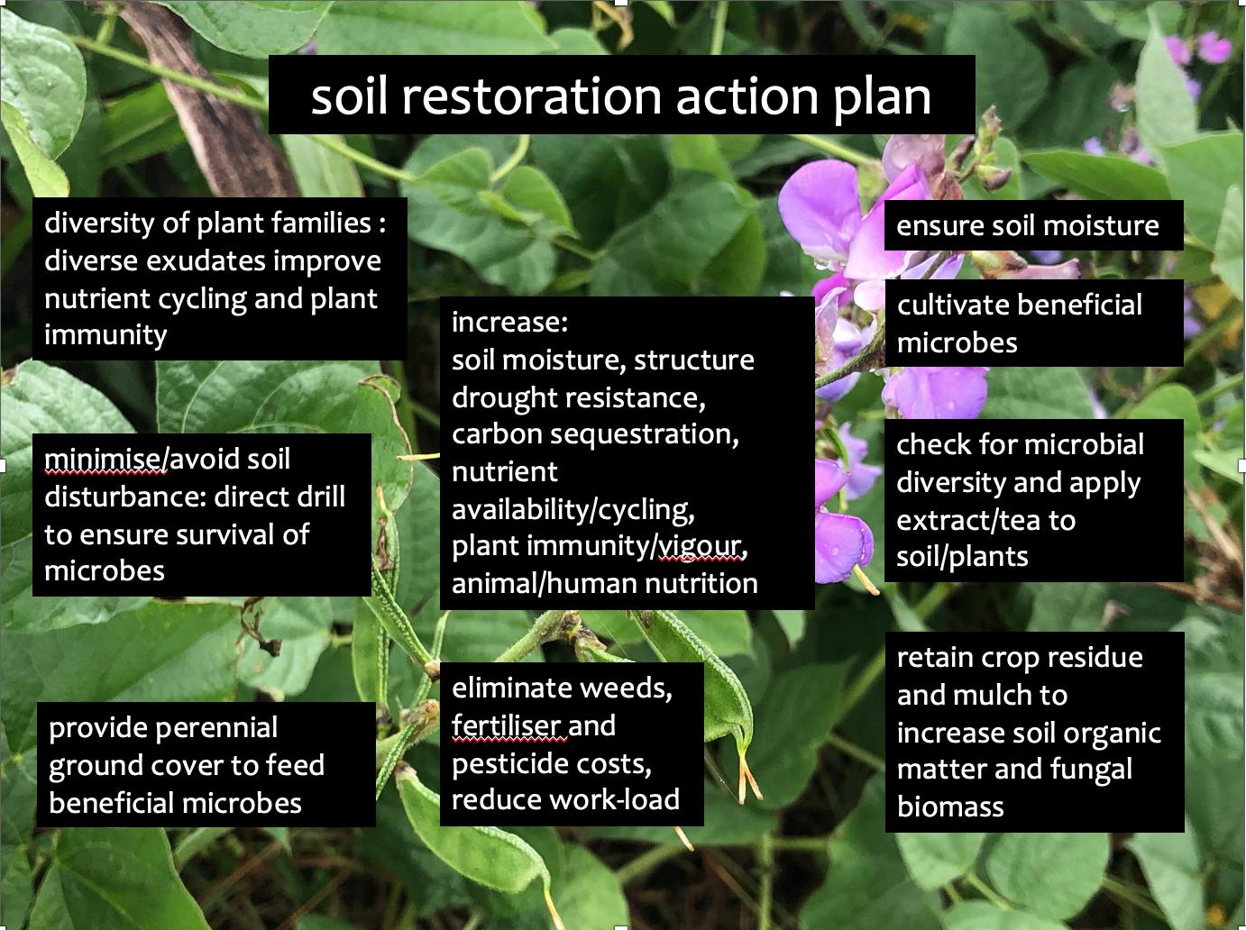 soil restoration action plan.png