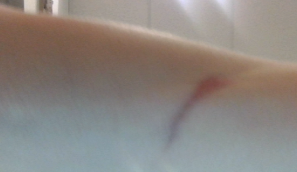 Screenshot 2026-03-21 at 2.39.09 PM.png