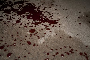 bloodyfloor2 (1).jpg