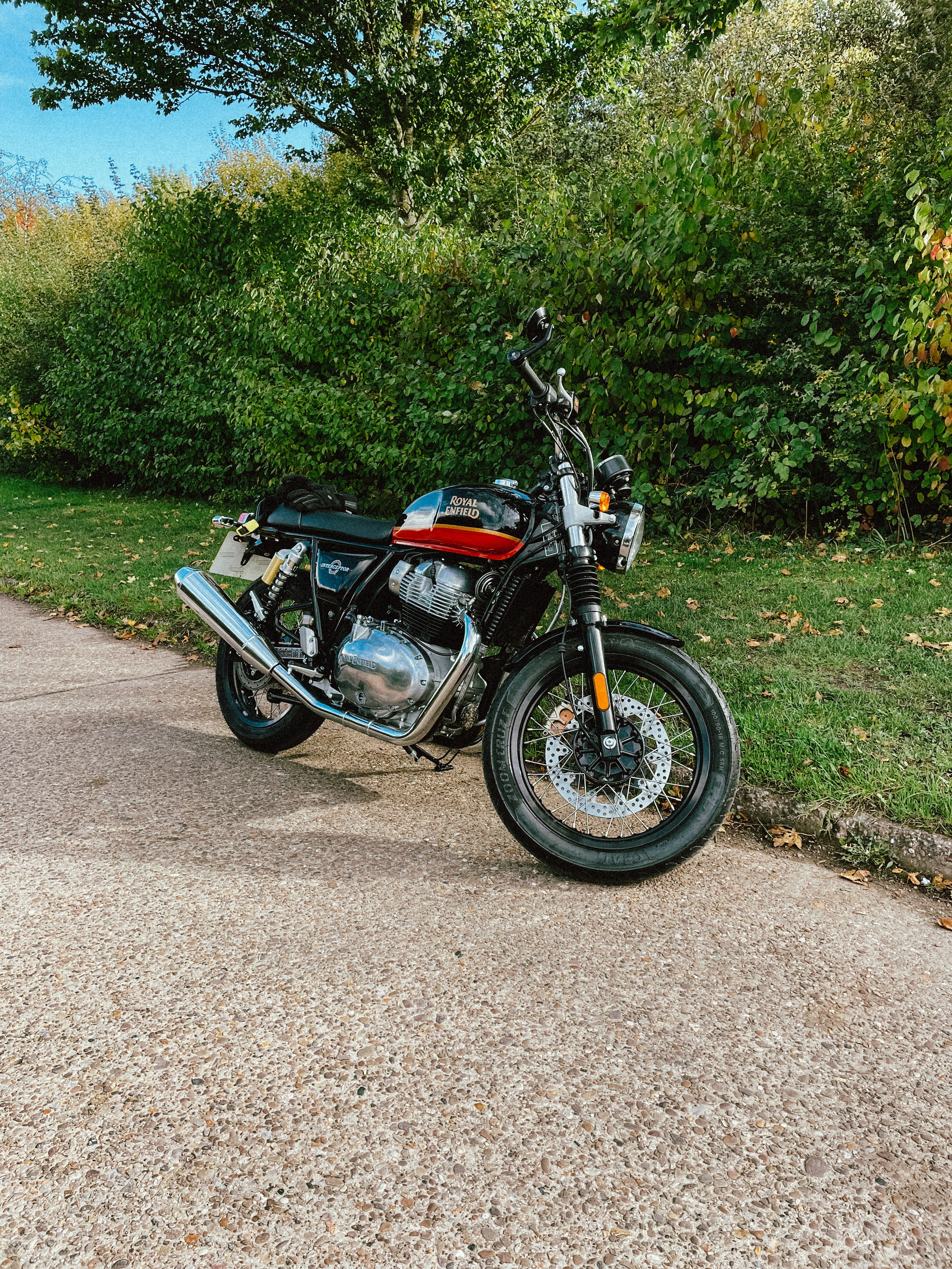 Rob Hough's Portfolio - Coda