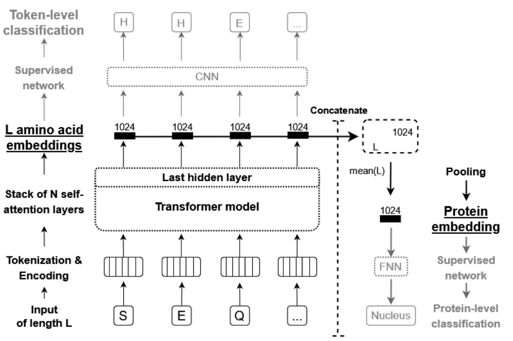 Screenshot 2025-06-26 at 00.26.19.png