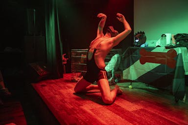 Pup Play - Social Res-3.jpeg