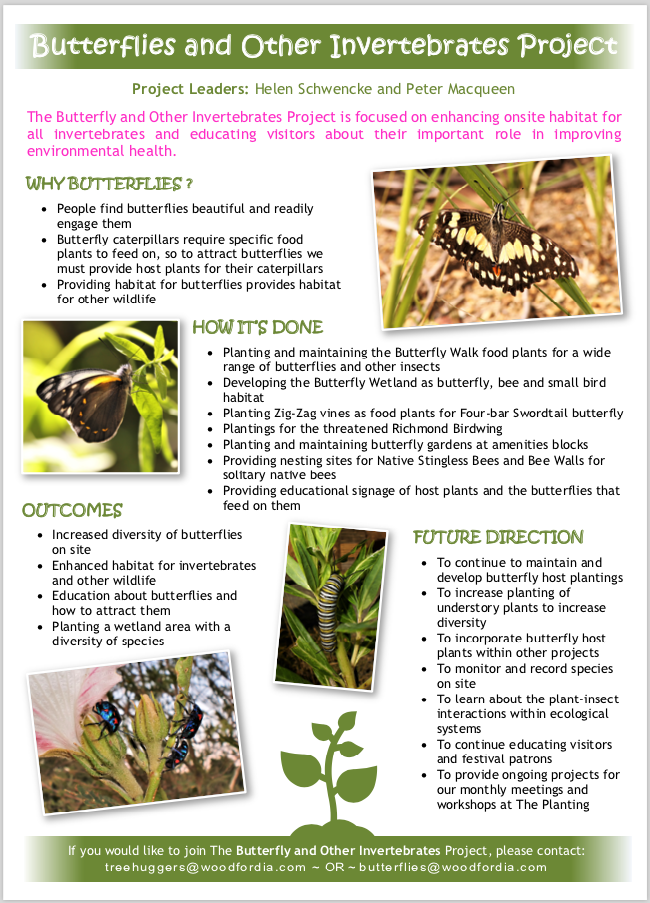 Screen Shot 2021-02-17 at 3.40.34 pm.png