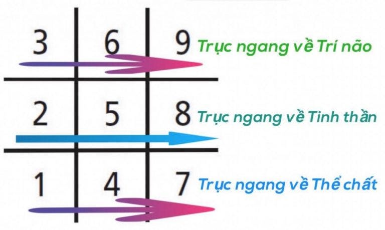 Bieu-do-ngay-sinh-than-so-hoc-don-gian.jpg