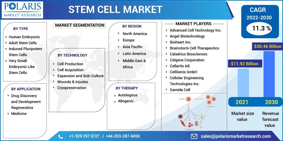Stem Cell Market-01.jpg