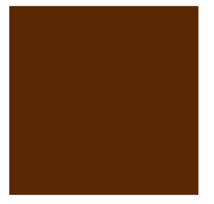 Accent darker orange.png