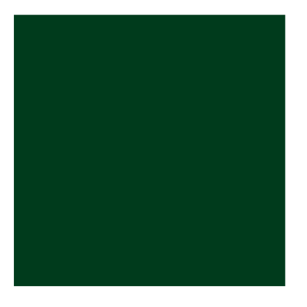 Accent darker green.png