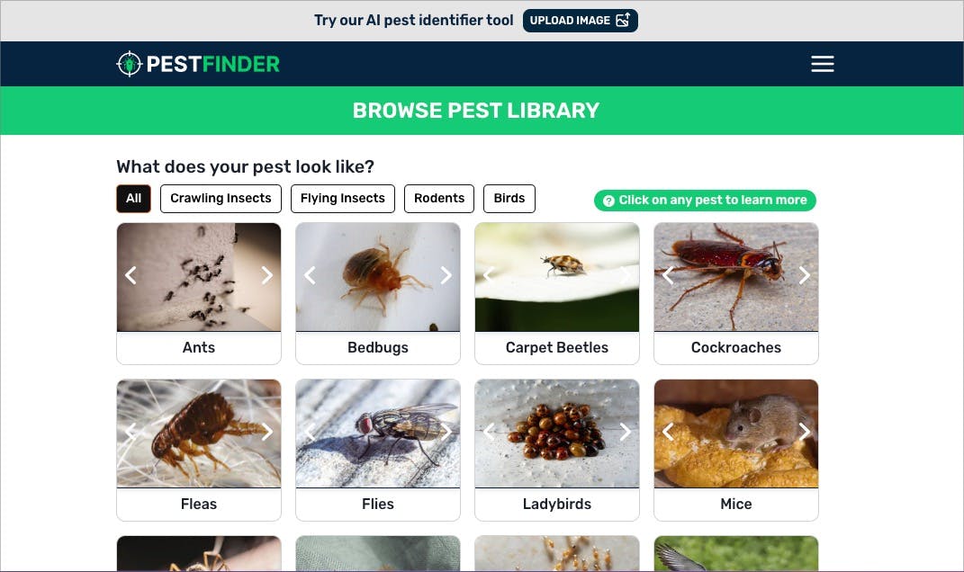 CleanShot 2024-05-15 at 14.10.45.jpg