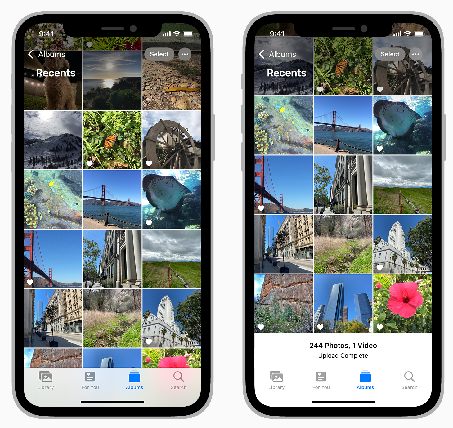 Screen Shot 2021-12-18 at 5.30.49 PM.png