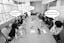 telegram-cloud-photo-size-4-6040970381017328561-y.jpg