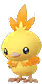 torchic.png