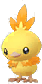 torchic.png