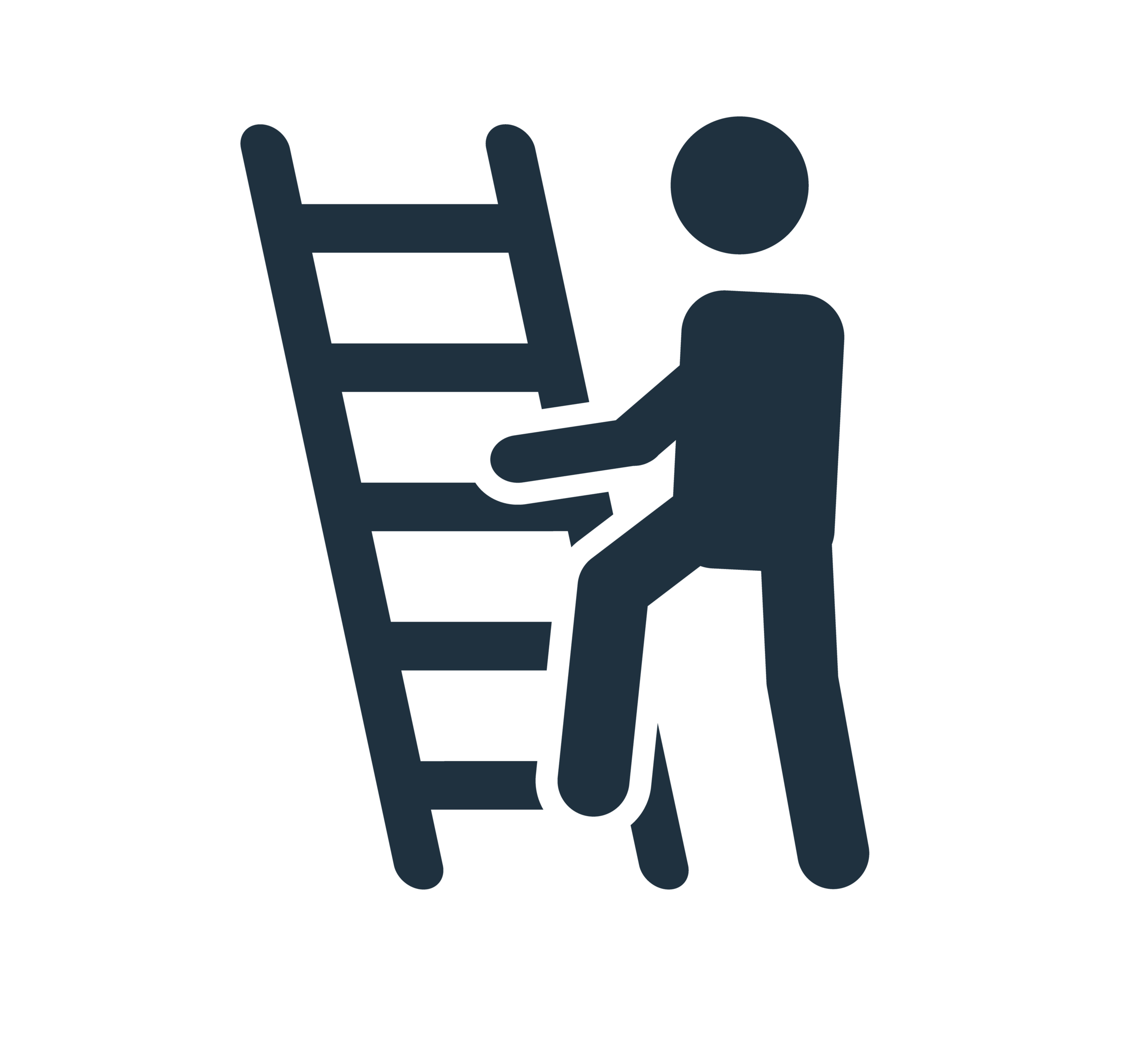 Pic-Ladder Safety.png