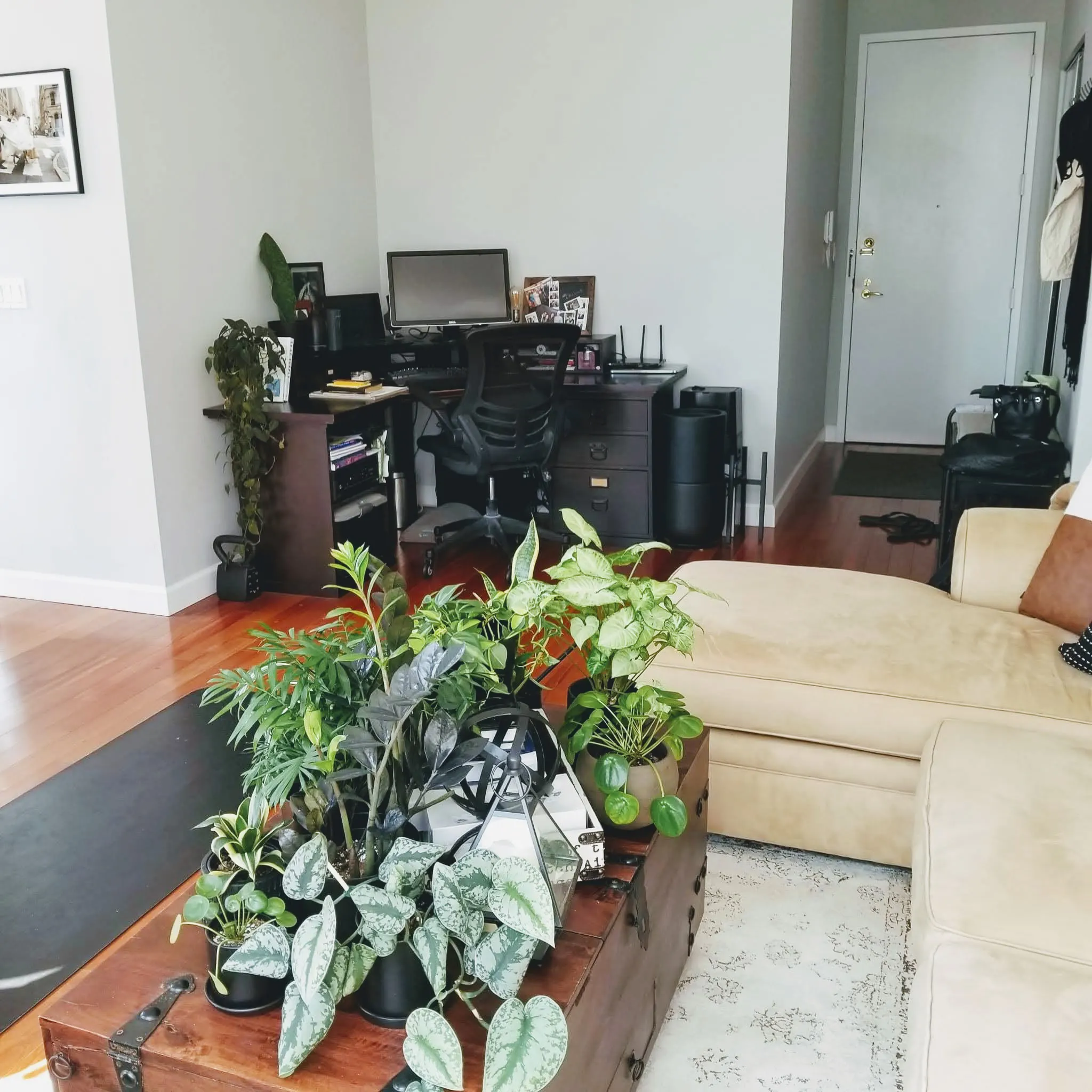 WhatsApp Image 2022-04-24 at 4.14.19 PM (3).jpg