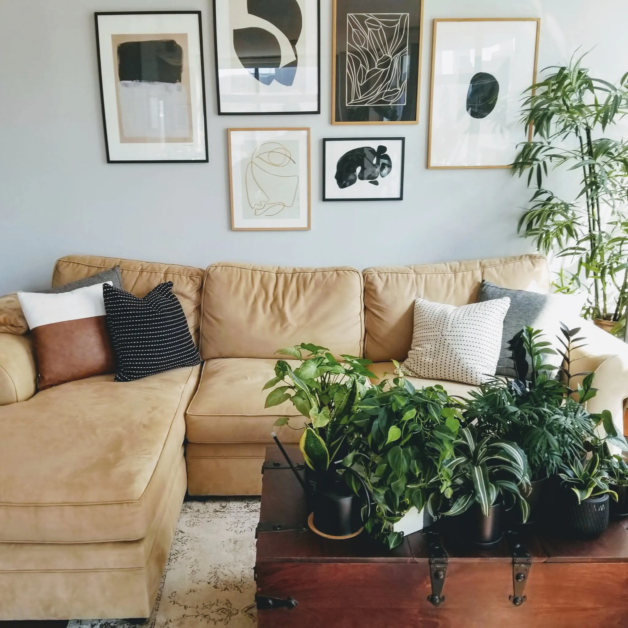 WhatsApp Image 2022-04-24 at 4.14.20 PM (5).jpg