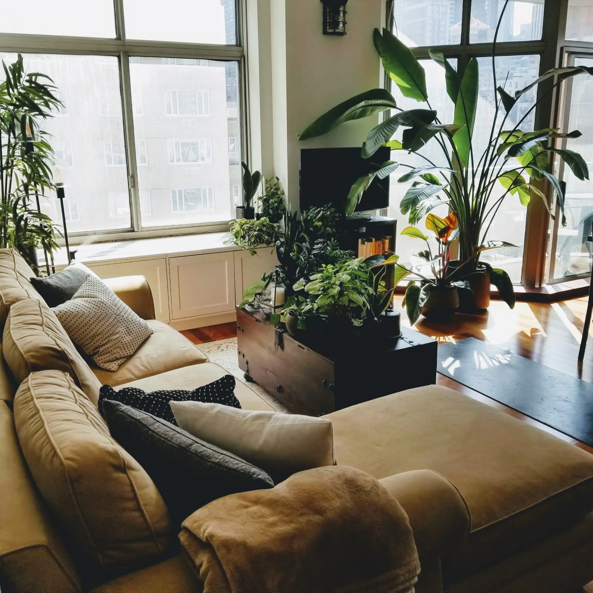 WhatsApp Image 2022-04-24 at 4.14.19 PM.jpg