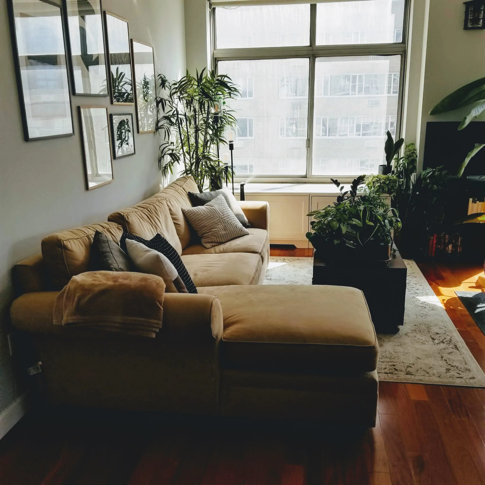 WhatsApp Image 2022-04-24 at 4.14.19 PM (1).jpg