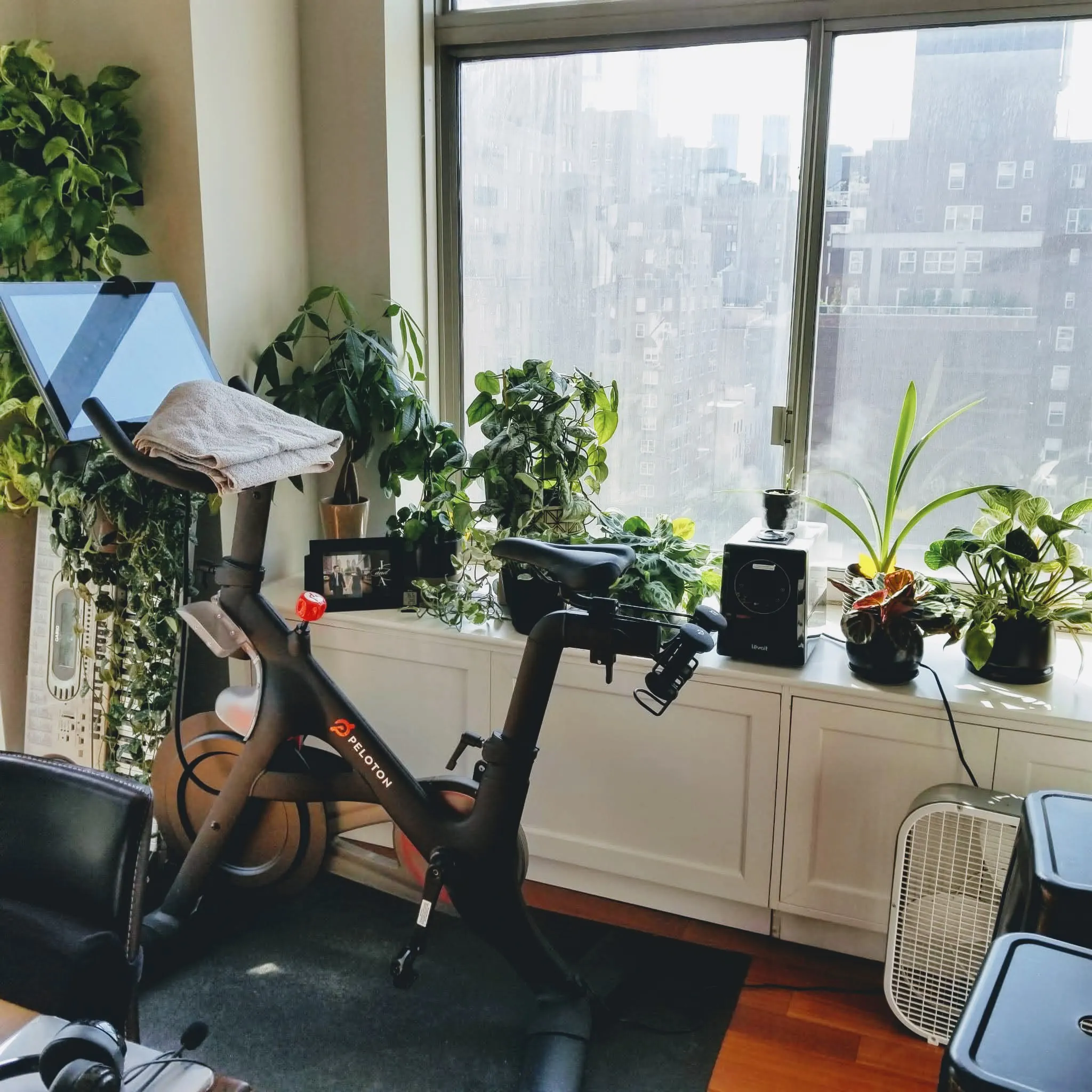 WhatsApp Image 2022-04-24 at 4.14.19 PM (2).jpg