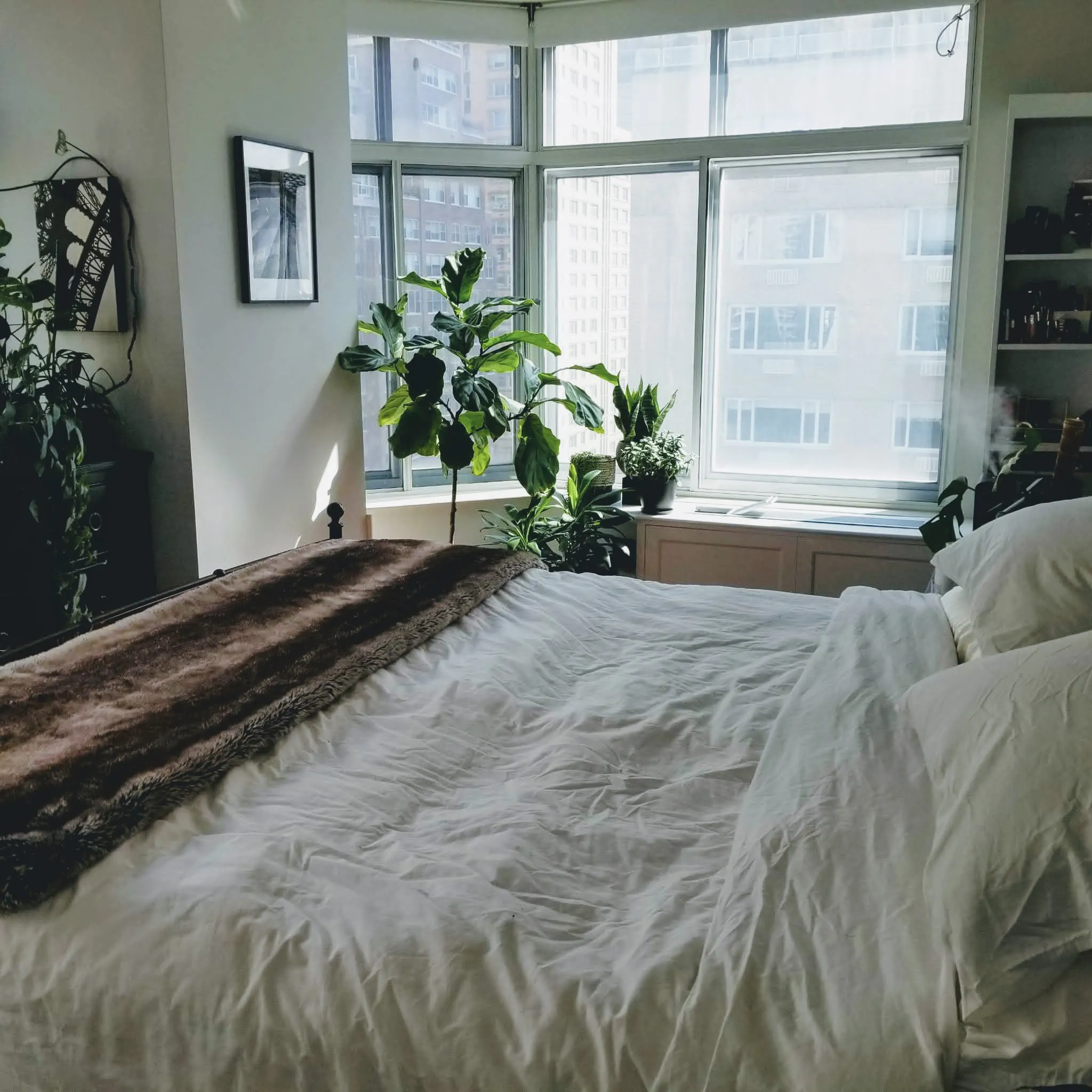 WhatsApp Image 2022-04-24 at 4.14.20 PM.jpg