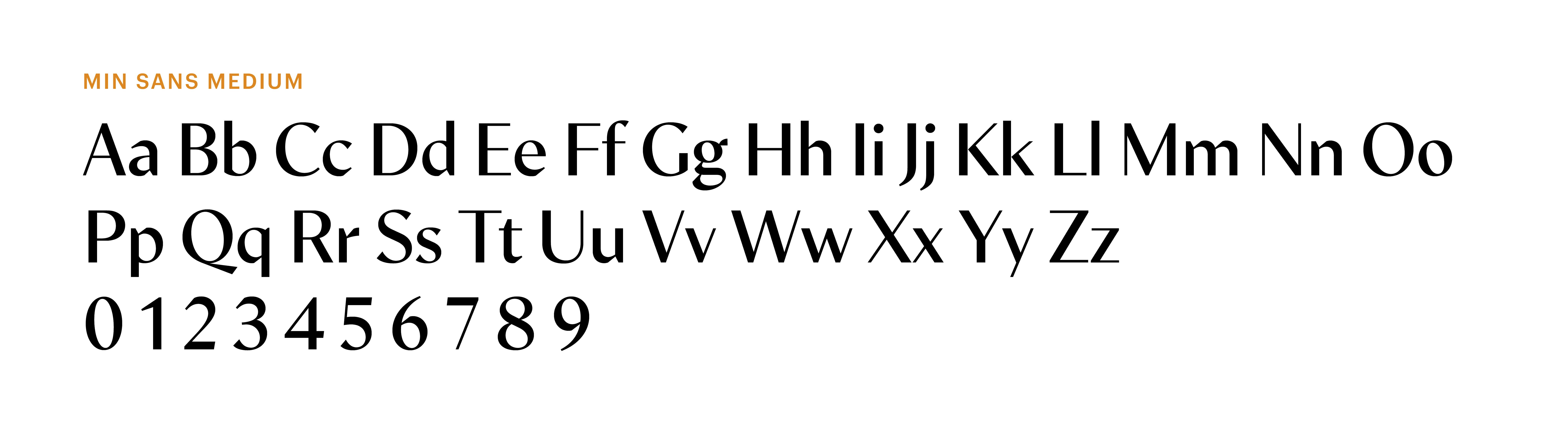 Seda Coda_Typeface - Min Sans.jpg