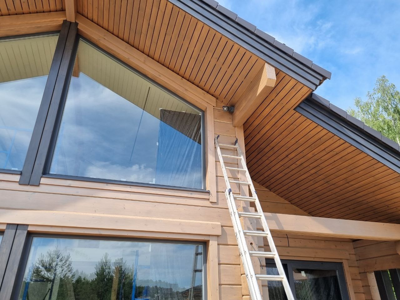 photo_2023-07-06 15.52.11.jpeg