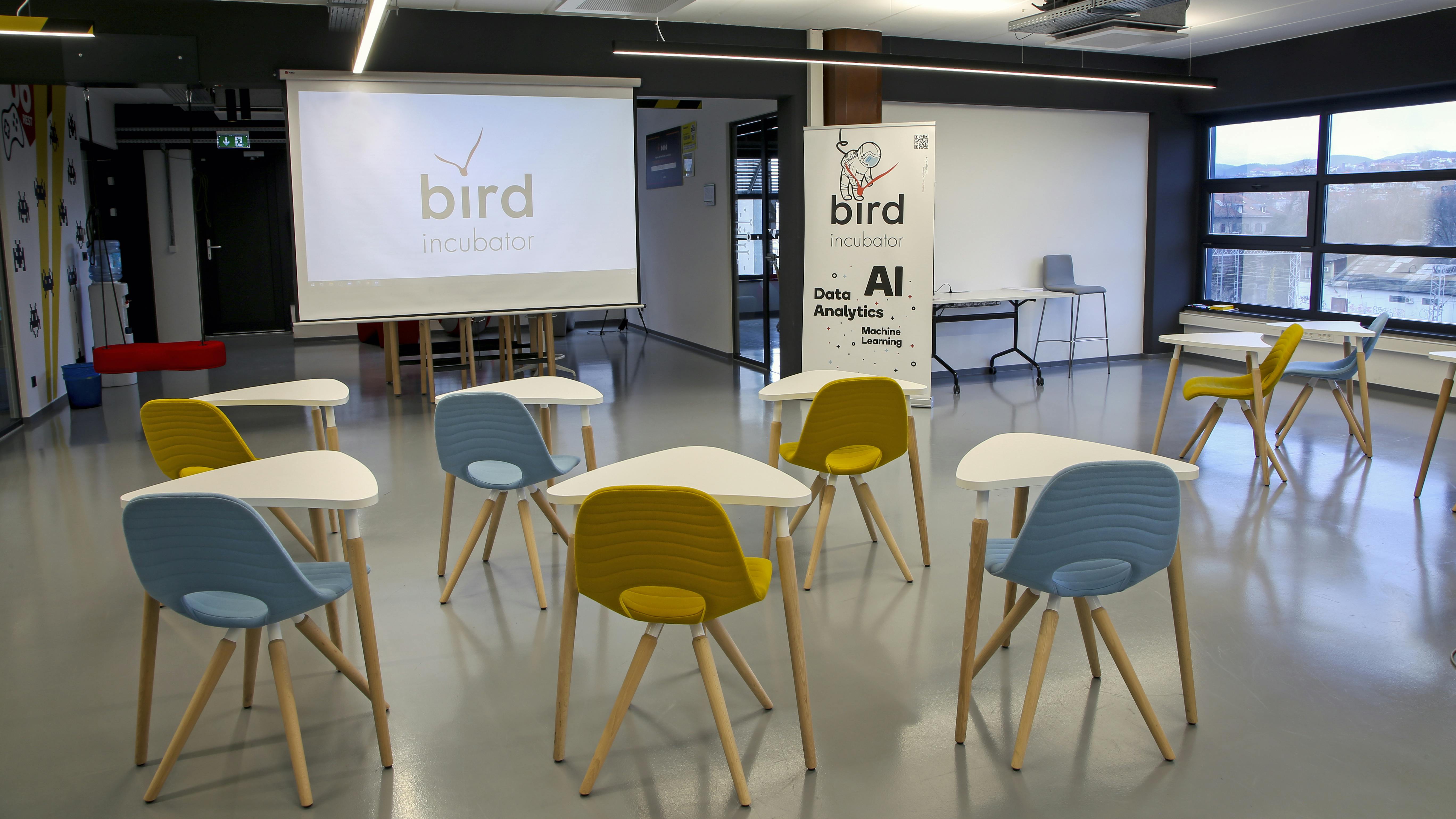 BIRD 9.jpg