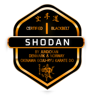 shodan.png