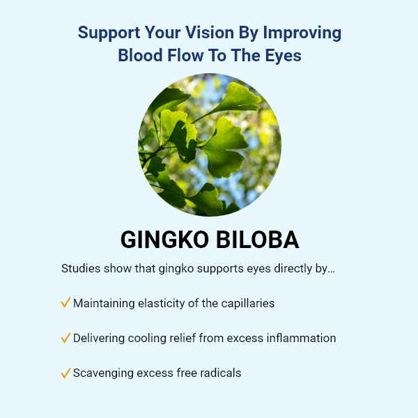 vision – 5.png