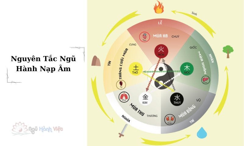 Nguyên Tắc Ngũ Hành Nạp Âm