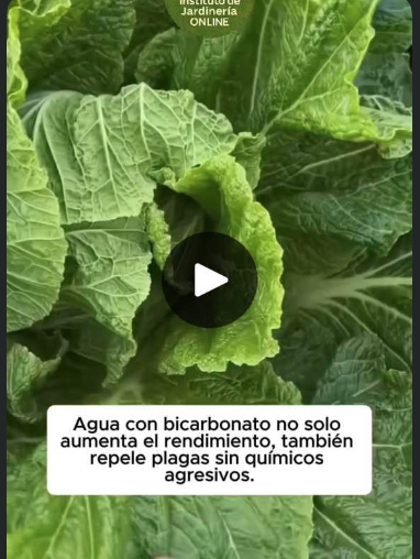 Screen Shot 2025-06-24 at 7.19.47 PM.png