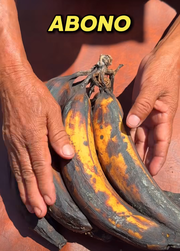 Screen Shot 2025-06-24 at 7.04.27 PM.png