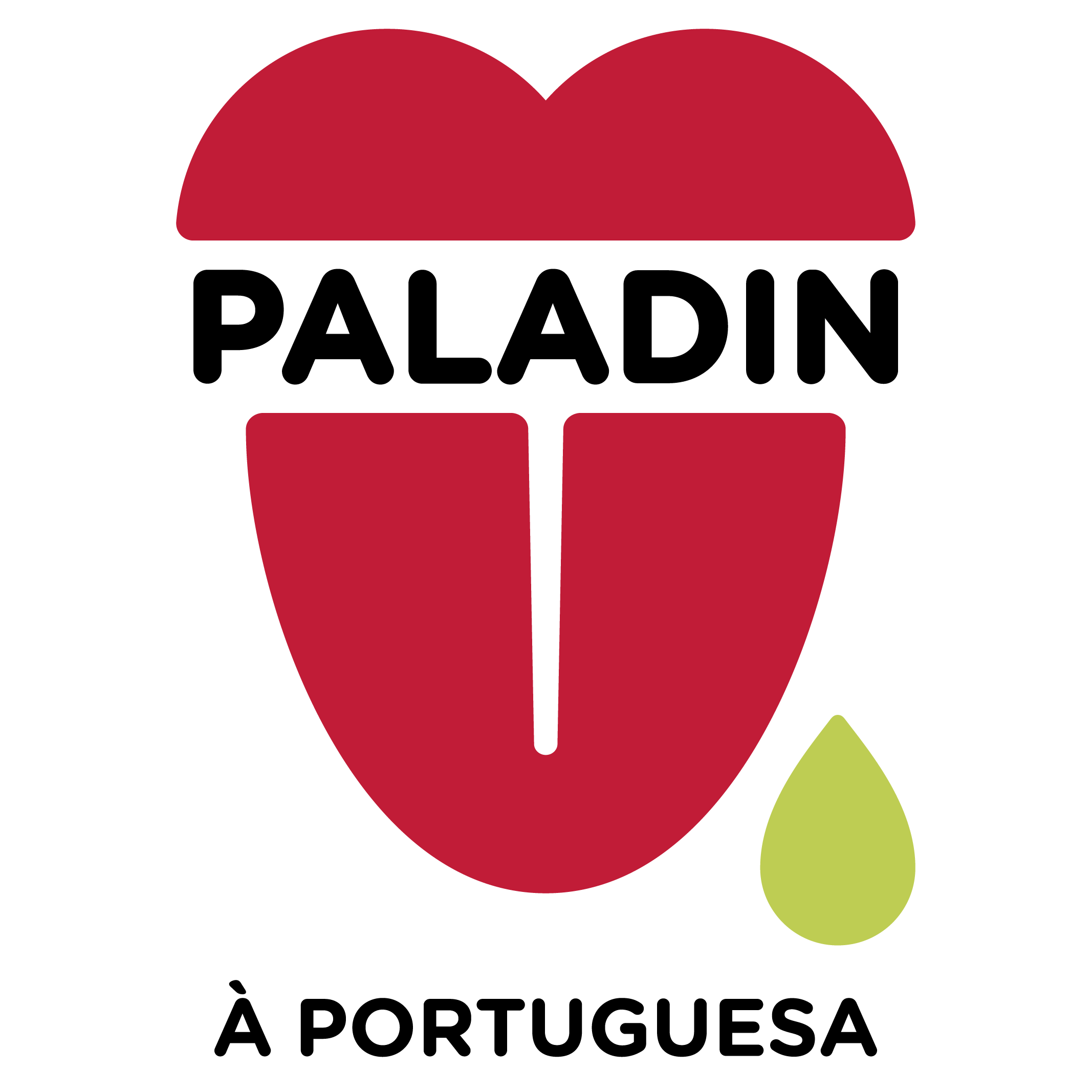 logo paladin_Prancheta 1.png