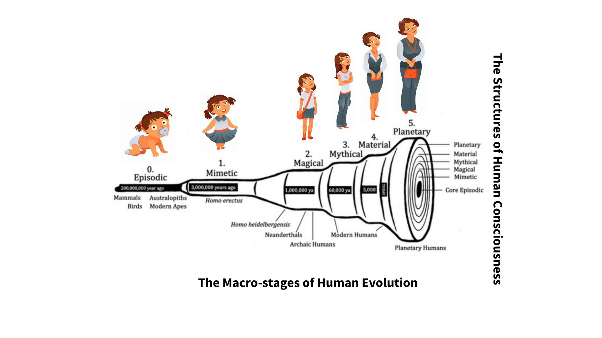 2bn Years of Human Evolution.png