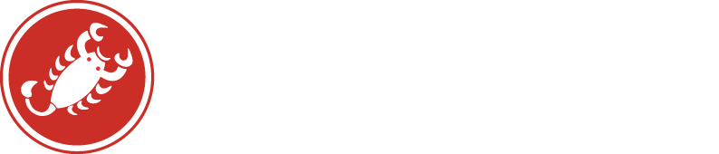 castelli_horizontal_white.png