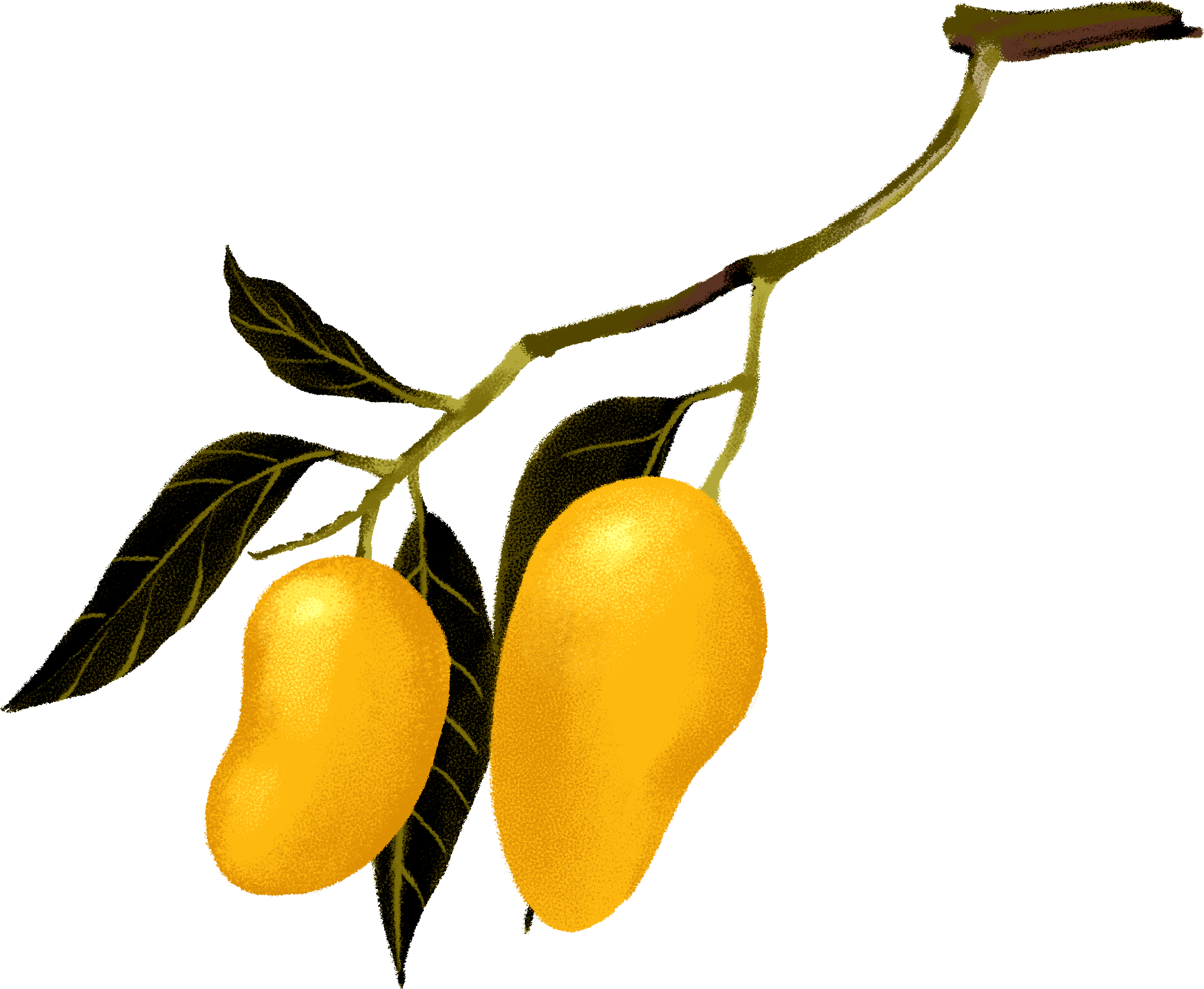 ARC-BOT-Mango.png