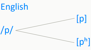 Screen Shot 2023-10-30 at 16.56.10.png