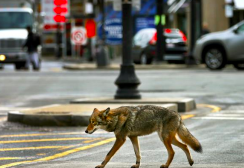 Screen Shot 2023-11-02 at 12.50.45.png